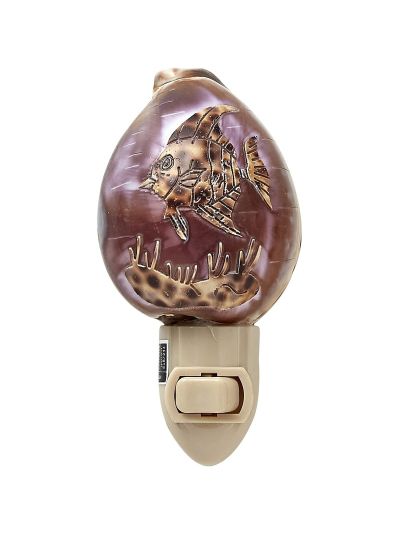 Carved Cowrie Fish Boxed LED Night Light