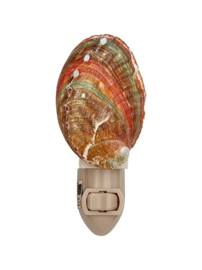 Abalone Boxed LED Night Light