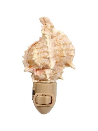 Pink Murex Boxed LED Night Light