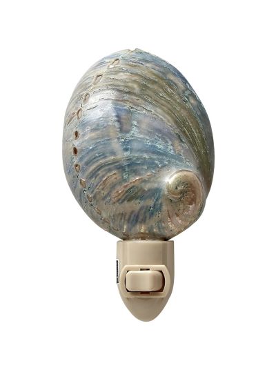 Polished Greenlip Abalone Boxed LED Night Light