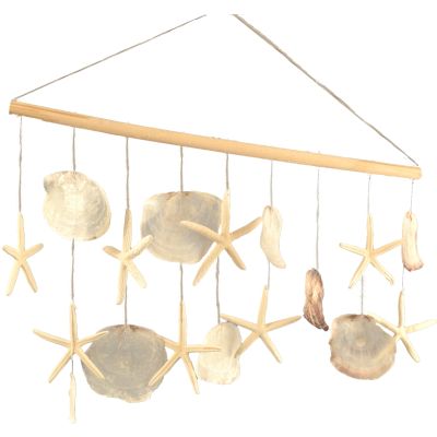 Placuna & Starfish Hanger 24x14"