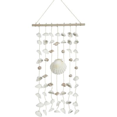 2 Ark & Irish Deep Shells on Driftwood Hangers 10x18" (Set of 2)