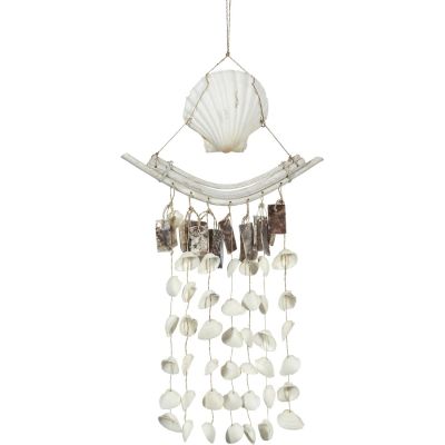 Irish Deep & Bowed Driftwood with Placuna & Ark Shells Hanger 10x19"