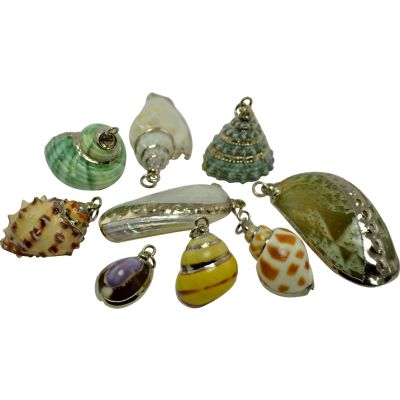 8 Silver Trimmed Shells (Set of 8)