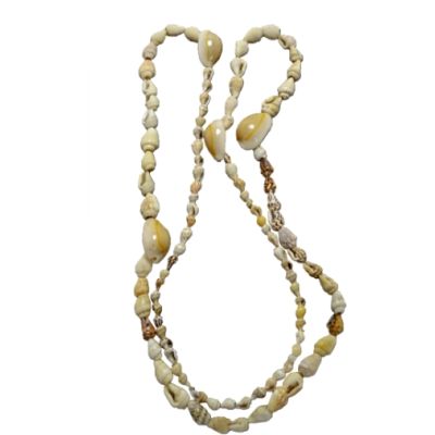 12 Nassa & Annulus Shell Necklaces 36" (Set of 12)