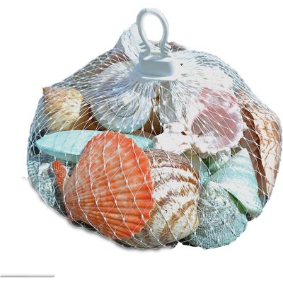 2 Assorted Polished Shells in White Plastic Net Bags (Set of 2)