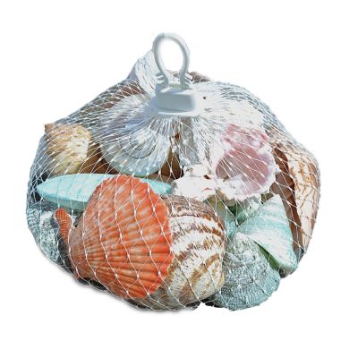 2 Assorted Polished Shells in White Plastic Net Bags (Set of 2)