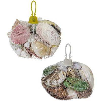 2 Assorted Polished Shells in White Plastic Net Bags (Set of 2)
