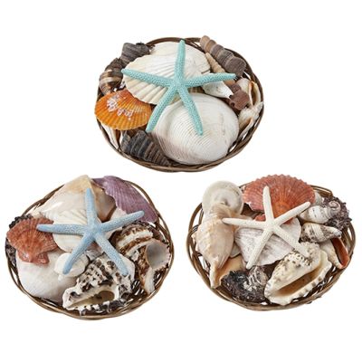 6 Shell Packs With Starfish in 6" Baskets (Set of 6)