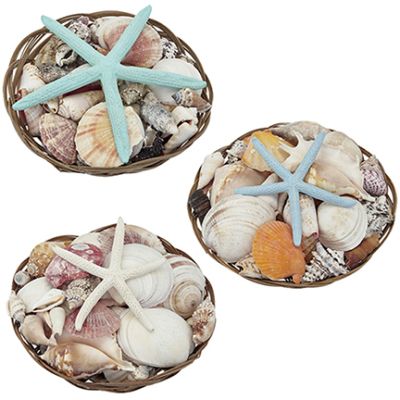 Three Shell Packs in 8" Baskets (Set of 3)