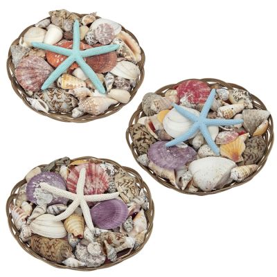 Assorted Seashells in 10" Basket
