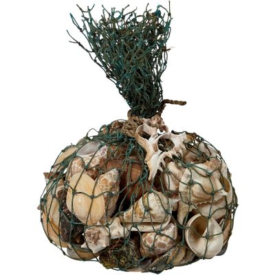 Shells in Blue Trawler Net Bag 1 Kilo