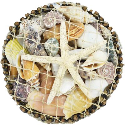 Round Botay Assorted Shells Pack & White Star 6"