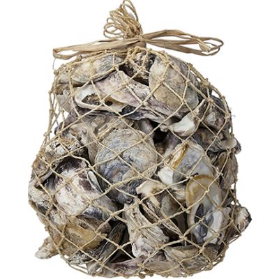 Oysters in 6x10" Abaca Net