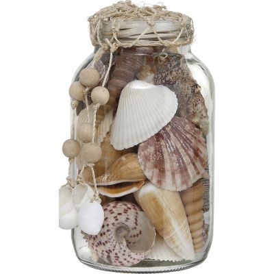 Assorted Shells in 3.5x6" Jar with Abaca Top