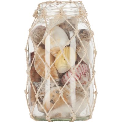 Assorted Shells in 3x6" Jar with Abaca Net
