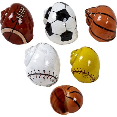10 Sports Balls Hermit Crab Shells 1-2.25" (Set of 10)