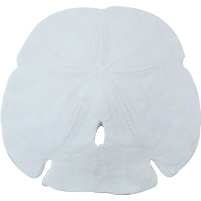 3 Arrowhead Sand Dollars 5.5-6" (Set of 3)