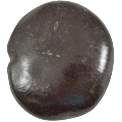 6 Sea Beans 1.5-2" (Set of 6)