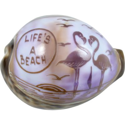 5 Carved "LIFE'S A BEACH" Cowries (Set of 5)