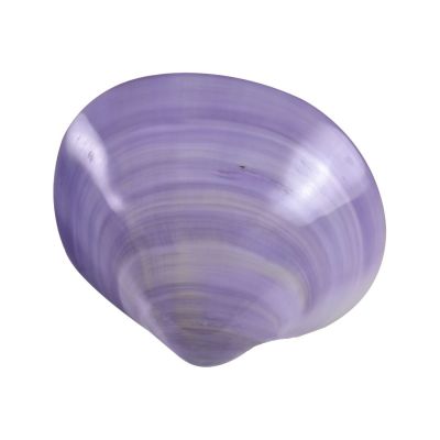 6 Purple Clam Pair Polished 2.5-3" (Set of 6)