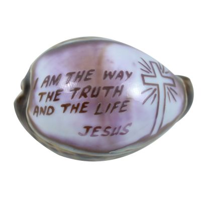 4 Way, Truth & Life Carved Cowries (Set of 4)