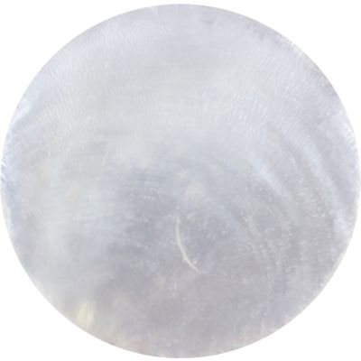 48 Capiz Round Pendants 2" (Set of 48)