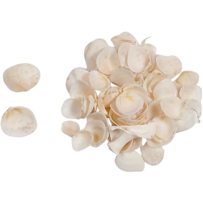 Philippine Cup Craft Shells Bag .25-.375" 1 Gallon (appx. 8000 pc)