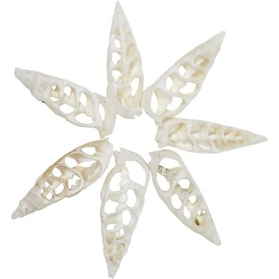 100 White Cerithium Center Cut Craft Shells 1.5-2" (Set of 100)