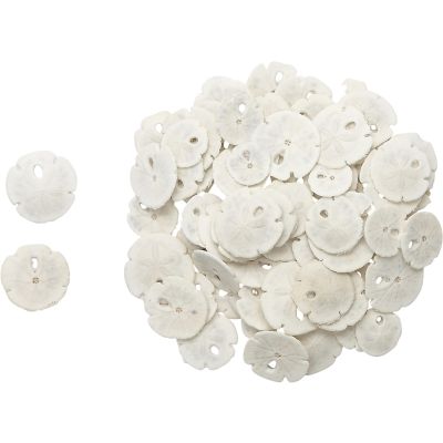 100 Tiny Round Sand Dollars .5" & Smaller (Set of 100)