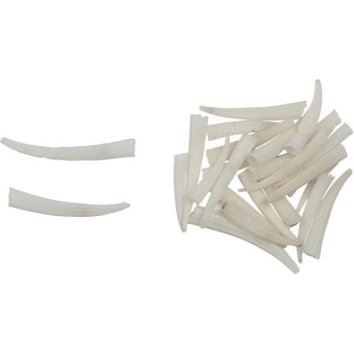 Dentallium Verdi .75-125" (1.66 Kilo/3.65 lb) 