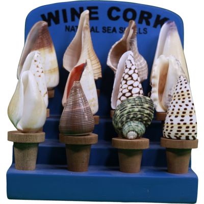 Twenty Four Shells & Wood Wine Corks Display (Set of 24)