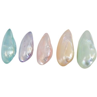 10 Minnow Pair Dyed Shells 2" (Set of 10)
