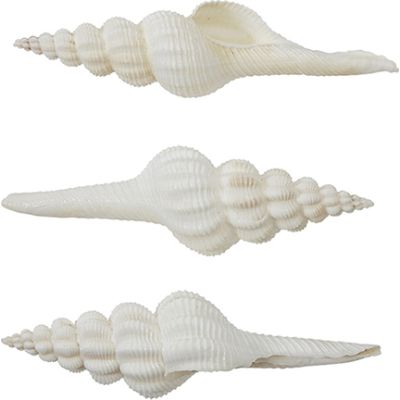 3 Knobby Spindle 6-7" (Set of 3)