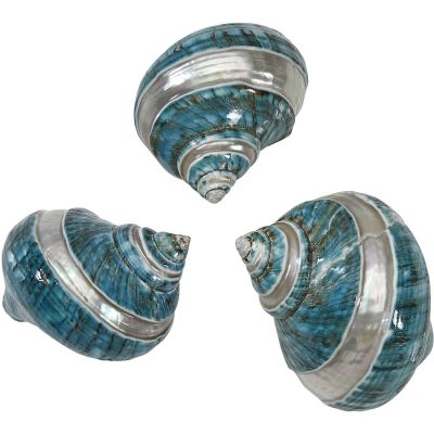 Jade Turbo Banded 2.5-3"