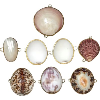 12 Assorted Shell Purses (Set of 12)