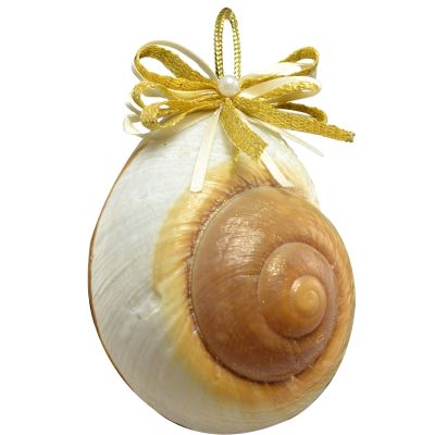 2 Mountain Land Snail Christmas Holidays Ornaments 3" (Set of 2)
