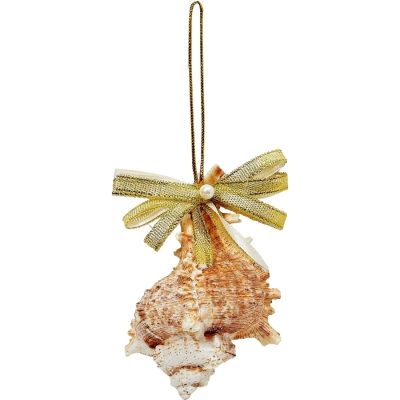 2 Murex Christmas Holidays Ornaments 3-4" (Set of 2)