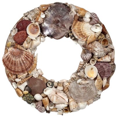 Seashell Wreath 14"