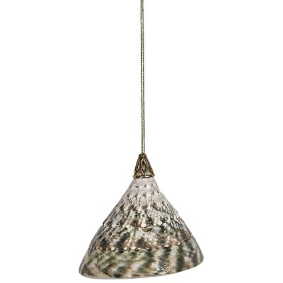 Green Trochus with Brass Cap Ornament 2-3"