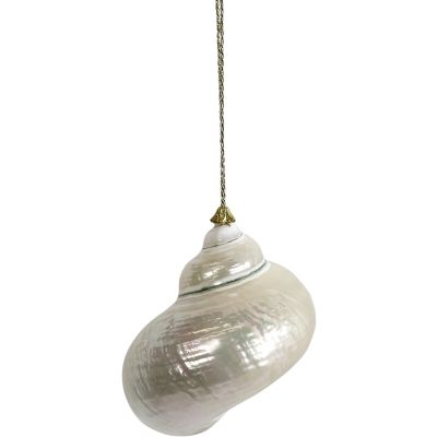 Green Turbo with Gold Cap Ornament 3-3.5"