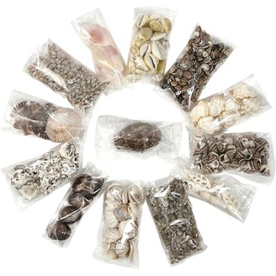 Shell Kit - Cowrie Collection