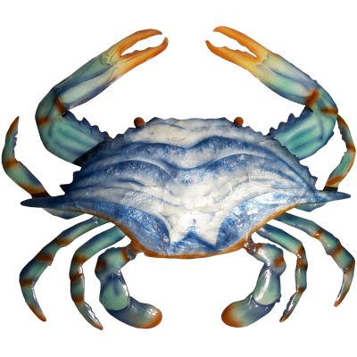 Capiz & Metal Blue Crab Wall Art 11x14x3"