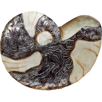 Capiz & Metal White Elegance Nautilus Wall Art 16x16" 