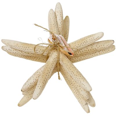 Four White Finger Starfish Bundle with Cut Shells 6-8" (Set of 4)