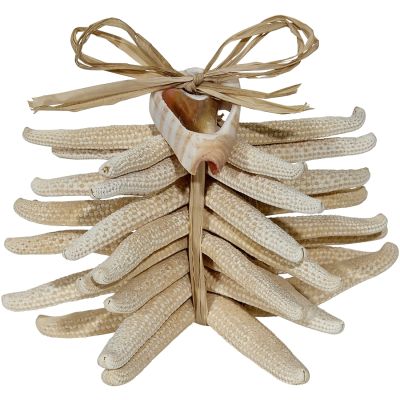 Finger Starfish Bundle with Cut Shell 8 pc White 2-4"