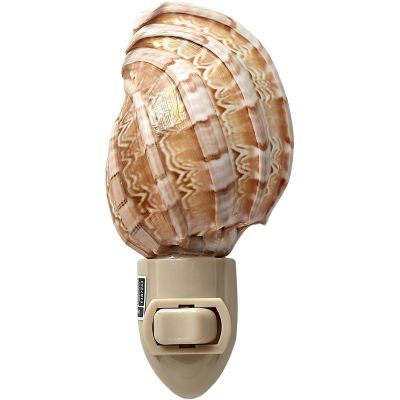 Harpa Shell Boxed LED Night Light