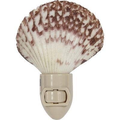 Pecten Boxed LED Night Light