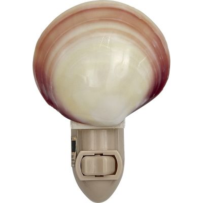 Polished Tiger Clam Boxed LED Night Light