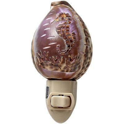Carved Cowrie Seahorse Boxed LED Night Light